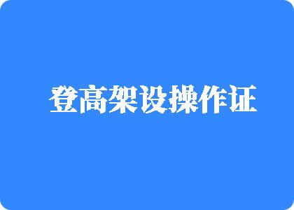 大鸡吧插比网站登高架设操作证