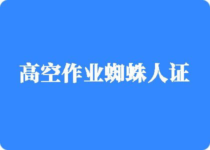 日韩日逼高空作业蜘蛛人证